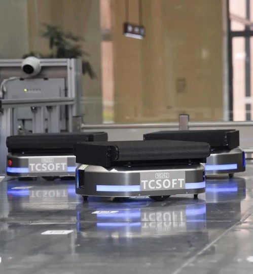 盤點生態(tài)城旅游打卡 十宗最 ,不信你都去過